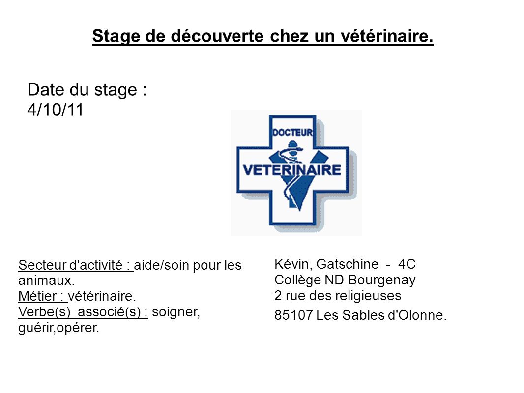 rapport de stage clinique veterinaire